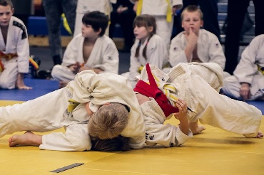 Brevet professionnel de la jeunesse, de l’éducation populaire et du sport éducateur sportif mention judo jujitsu
